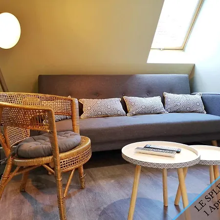 Splendide Appartement Barr - Route Du Vins Exterior foto