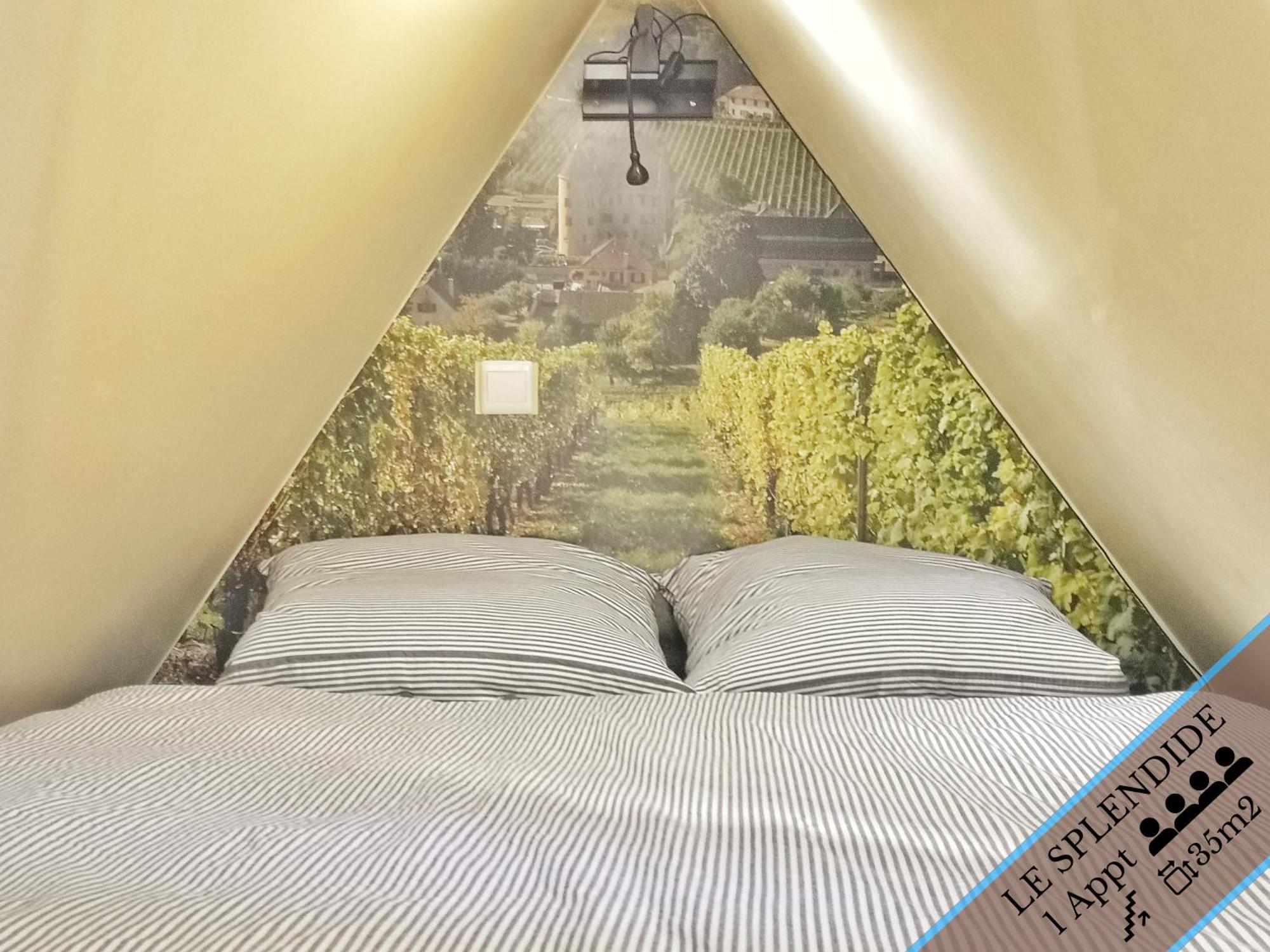 Appartement Splendide - Route Du Vins *