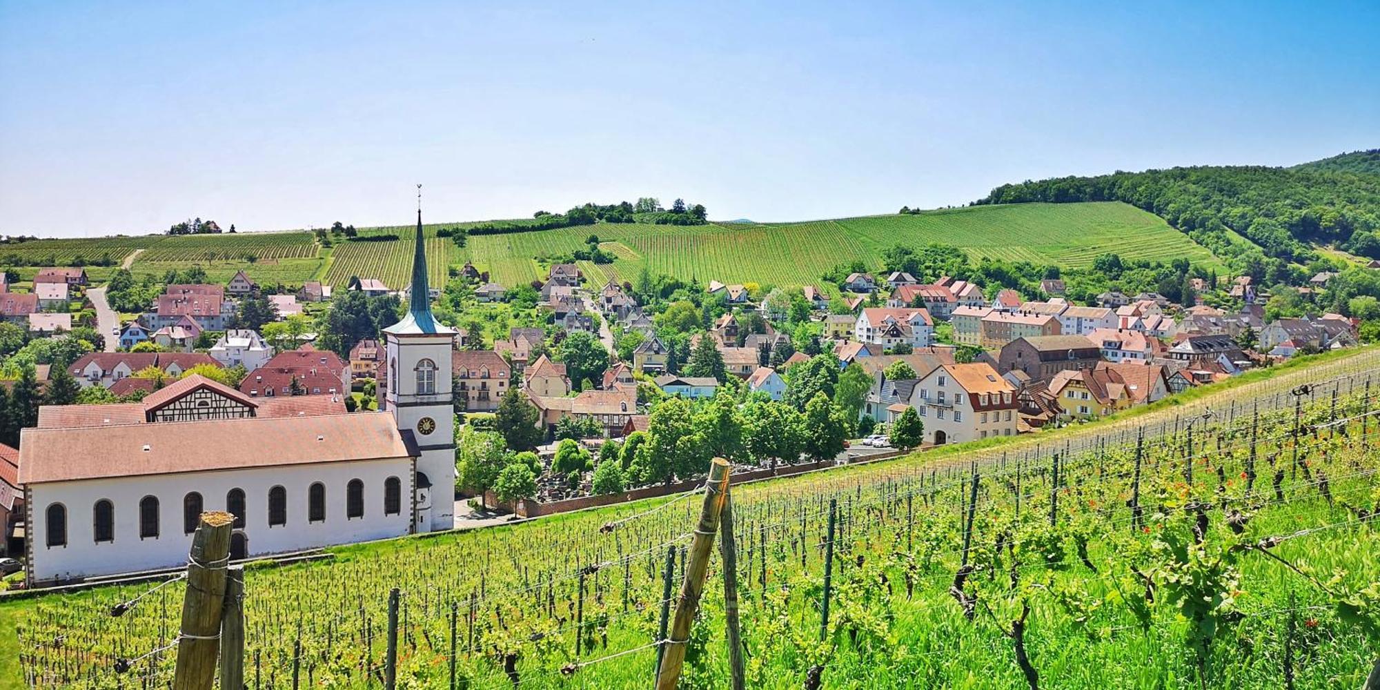 Splendide - Route Du Vins Barr