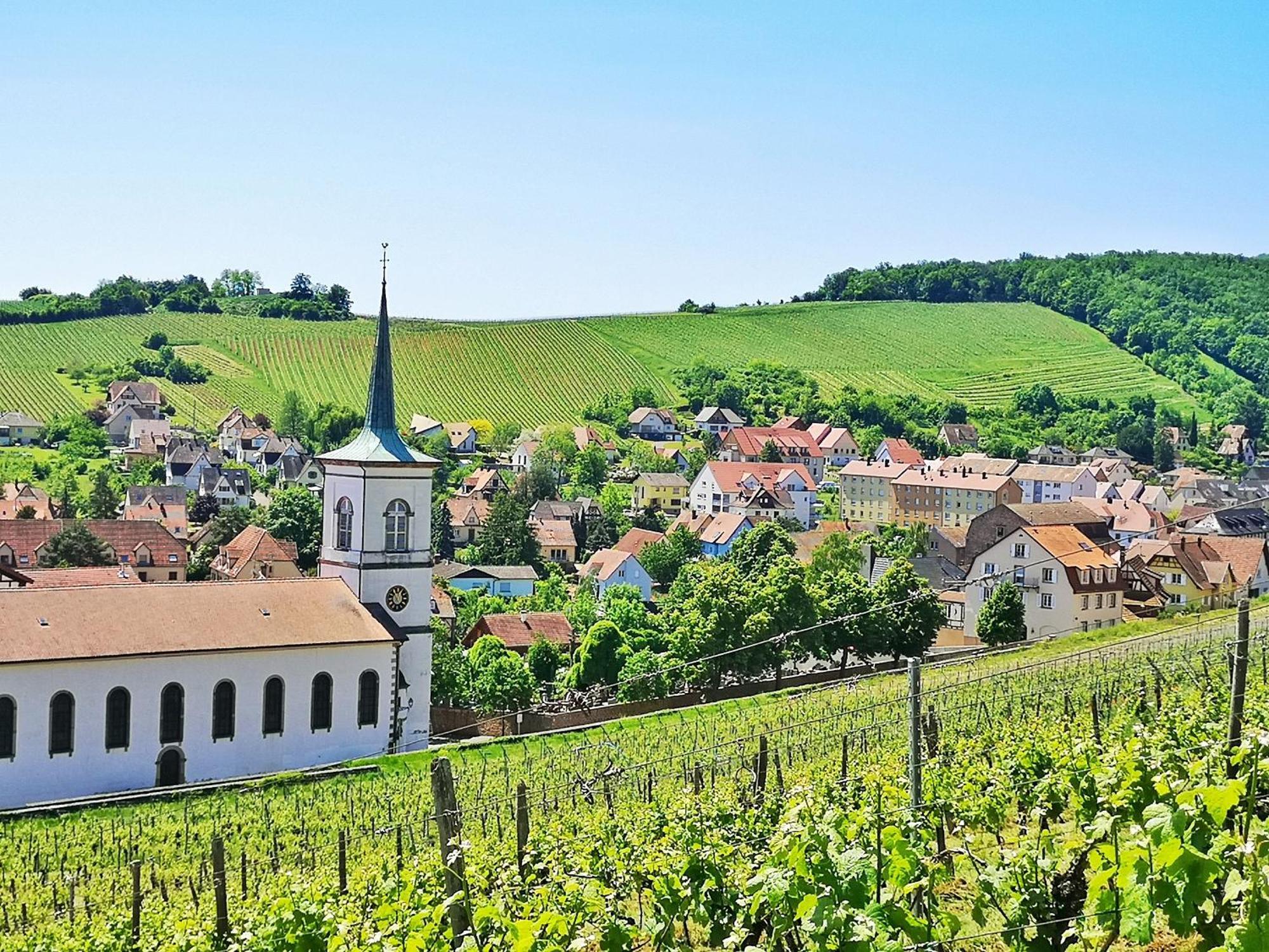 Splendide - Route Du Vins Barr